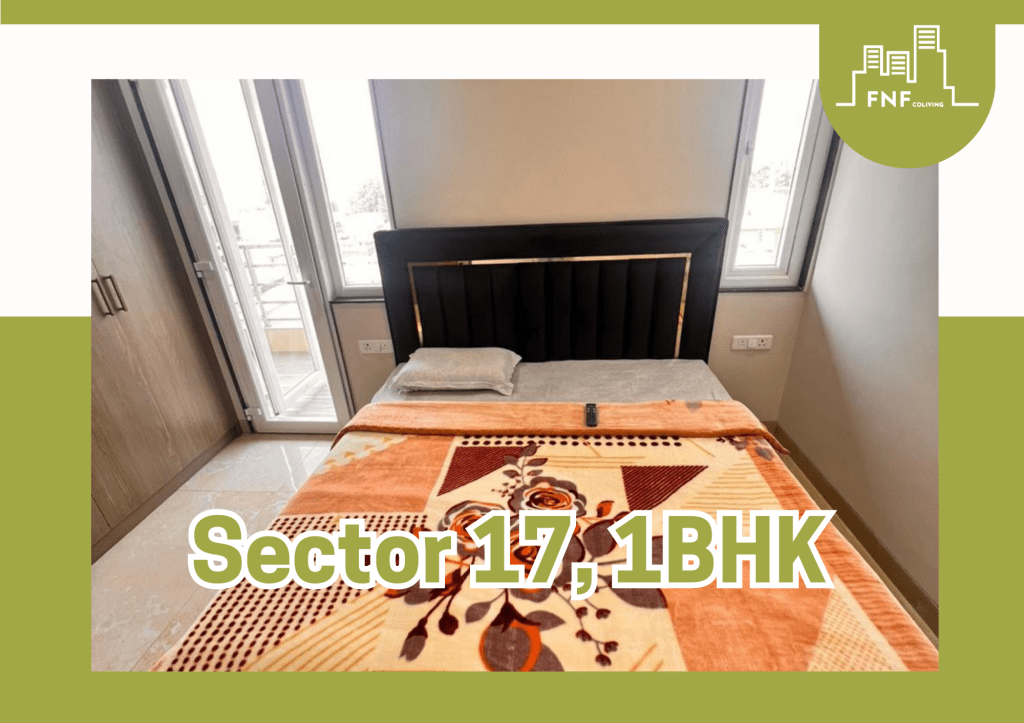 Sector 17 1BHK